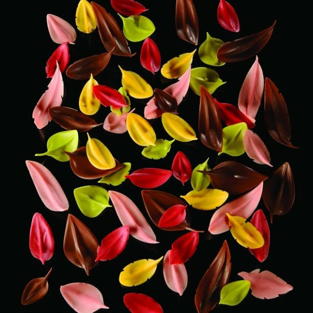 Couteau Inox Feuille 8 X 4 Cm Flychoc Pavoni 2 Couteau Inox Feuille 8 X 4 Cm Flychoc Pavoni – Image 2