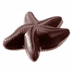 Moule à Chocolat Etoile De Mer (x2) Chocolate World