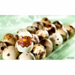 Alternative view of Moule Chocolat Poussin 33 Mm (x12) Chocolate World