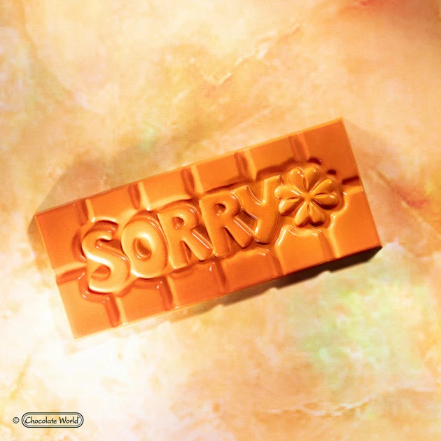 Moule Chocolat Tablette Sorry (x4) Chocolate World 2 Moule Chocolat Tablette Sorry (x4) Chocolate World – Image 2
